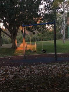 a swing set in the middle of a park with trees and leaves on the ground