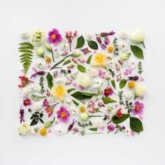 an arrangement of flowers and leaves on a white surface