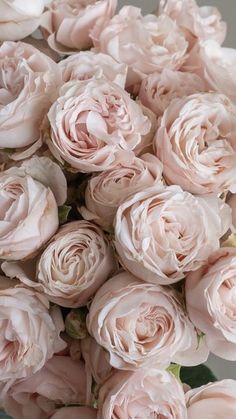 a bouquet of pink roses sitting on top of a table