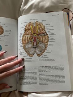 an open book with pictures of the human brain and their corresponding parts on it's pages