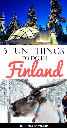 a reindeer with the words fun things to do in finland on it's back