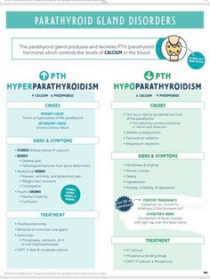 an info sheet describing the types and functions of hypopathrhoidia