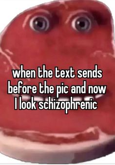 the text reads when the text sends before the pic and now i look schizophertic