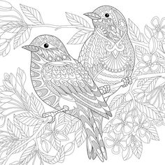 two birds sitting on top of a tree branch with leaves and flowers in the background