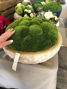 a woman is touching the moss on top of a table at a flower shop with other flowers