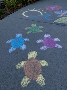 the sidewalk has chalk drawings of turtles and flowers on it