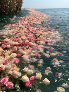 there are many flowers floating in the water and one is pink, white and yellow