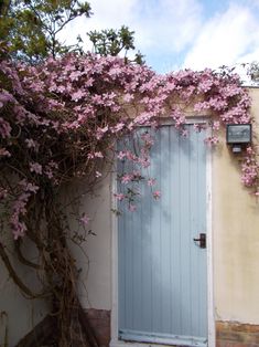 a blue door surrounded by pink flowers on a house's side wall with vines growing over it