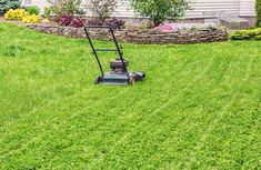 a lawn mower sitting on top of a lush green field next to a house