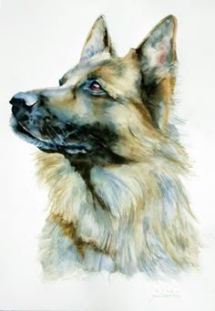 a painting of a german shepherd dog