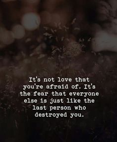 a quote that reads, it's not love that you're afraid or it's the fear that everyone else is just like the last person who destroyed you