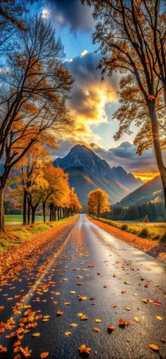 an empty road surrounded by trees with fall leaves on the ground and mountains in the background