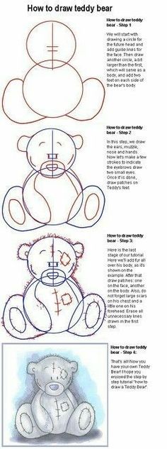 the instructions for how to draw teddy bears