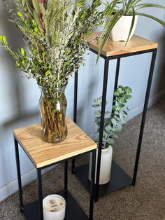 two vases with plants are sitting on small stands