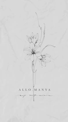 a drawing of flowers on a piece of paper with the words alo manaya