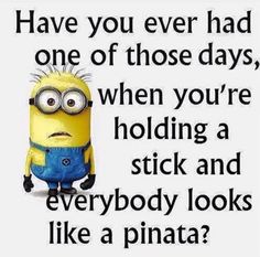 a minion with the words have you ever had one of those days, when you're holding a stick and everybody looks like a pinata?