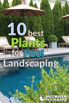 a pool with lounge chairs and umbrellas next to it, the words 10 best plants for pool landscaping