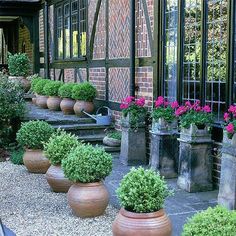 there are many potted plants in front of the building