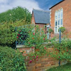 an old brick house with roses growing on it's fence and windows in the background