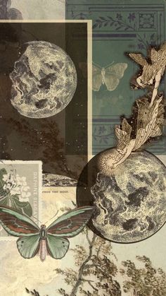 an artistic collage with butterflies and moon images