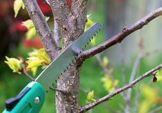 a green and black knife stuck in a tree