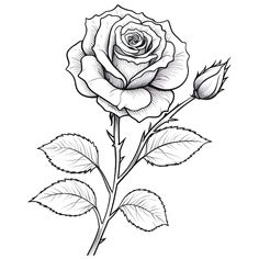 Flower Coloring Pages, Banners, Origami, Coloring Pages, Tattoos, Floral, Flowers, Color