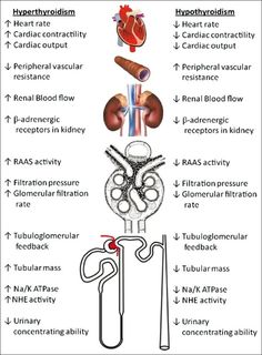 a diagram showing the different types of medical instruments and their functions in each part of the body