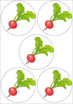 four red radishes with green leaves on them, in the middle of three circles