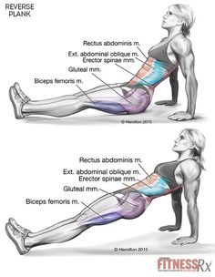 Tighten Your Core and Lower Body With Reverse Planks Fitness Routines, Exercise Routines, Best Exercises, Trening Abs, Body Fitness, Belly Fat Workout, Improve Posture, Motivation Fitness