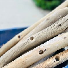 several wooden sticks with holes in them on a blue plate