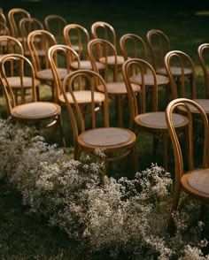 rows of wooden chairs lined up next to each other in the grass with flowers around them