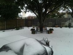 a car covered in snow next to a tree and fence with potted plants on it