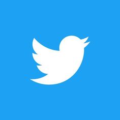 a white twitter logo on a blue background