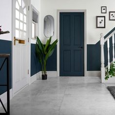 an entryway with blue painted walls and white railings, potted plants on the floor