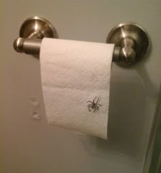 there is a spider on the toilet paper towel holder in this bathroom, it looks like he's going to eat something