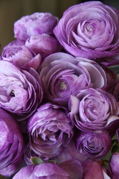 a bouquet of purple flowers sitting on top of a table