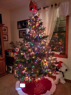 a small christmas tree is lit up in the living room