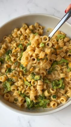 Laura • The Hungry Truffle on Instagram: "brocc your world with this broccoli cheddar soup inspired pasta 🧀😋 instructions ⬇️ melt 2 tbsp of butter in a pan and add a diced onion, minced garlic, salt, pepper & paprika. add 1 cup of pasta (ditalini or orzo) and 1.5-2 cups chicken broth. let it simmer for a few minutes, then add 1.5 cups chopped broccoli. once the pasta and broccoli is tender and al dente, stir in 1/2 cup heavy cream and 1/2 cup freshly grated cheddar cheese. (note: add more liqu Recipes With Ditalini Pasta, Pasta And Broccoli, Chopped Broccoli, Vegan Noodles, Meal Planning Menus, Ditalini Pasta, Meatless Dinner, Broccoli Cheddar Soup, Cheddar Soup