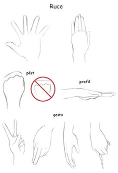 the instructions for how to draw hands in different positions and shapes, including fingers with no thumb