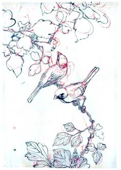 a drawing of a bird sitting on a branch with leaves and flowers in the background