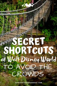 Secret Shortcuts across Walt Disney World to help you Avoid the Crowds. Shortcuts through hidden pathways, shops and more in each park to get you where you need to go fast. Disney Family Vacation