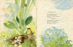 an open book with flowers and plants on the pages, including a bird in a flower pot