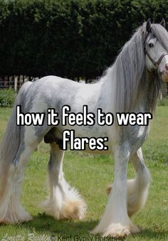 a horse that is standing in the grass with words how it feels to wear flares