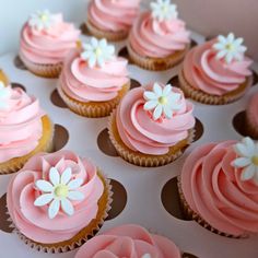 cupcakes with pink frosting and white flowers on them