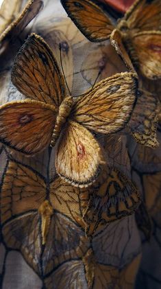 some very pretty butterflies on a piece of cloth