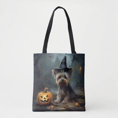 a small dog wearing a witches hat and sitting next to a jack - o'- lantern