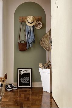 a dog is sitting on the floor in front of a coat rack and hat rack