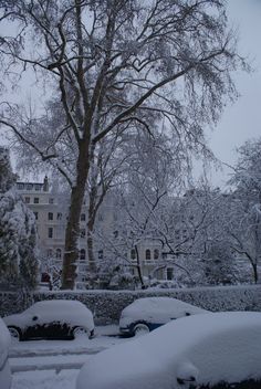 cars covered in snow parked on the side of a road next to a large tree