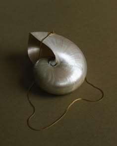 a silver shell with a gold chain on a brown surface, it looks like an ornament