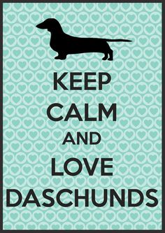 a poster with the words keep calm and love dachshunds